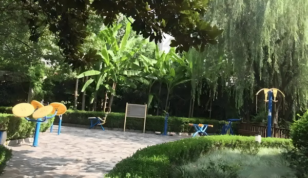 深圳入户积分要多少分_《你行！你上！》：弹琴吧！爸爸 琴吧爸爸们做当我到1的时候