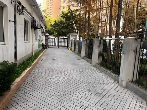 2025大学毕业入户深圳_专访｜马伊琍：和创作者、观众“共建”那些鲜活的女性形象 撞上一辆野猪城际快车